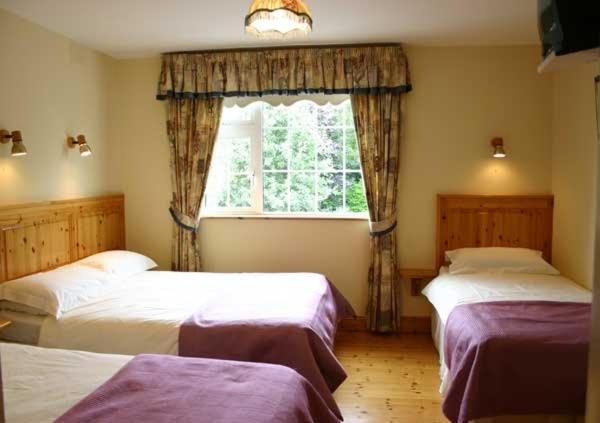 Shanlin House Bed And Breakfast Galway Ruang foto