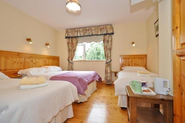 Shanlin House Bed And Breakfast Galway Ruang foto